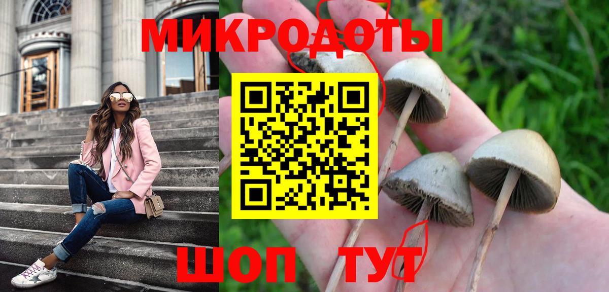 Ессентуки  Галлюциногенные грибы Magic Shrooms  Галлюциногенные грибы GOLDEN TEACHER  Вход с VPN 